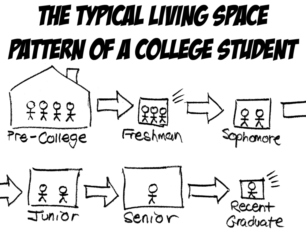 Pre-college (very large) >pp Freshman (tiny) > Sophomore (small) > Junior (medium) > Senior (large) > Recent graduate (miniscule)